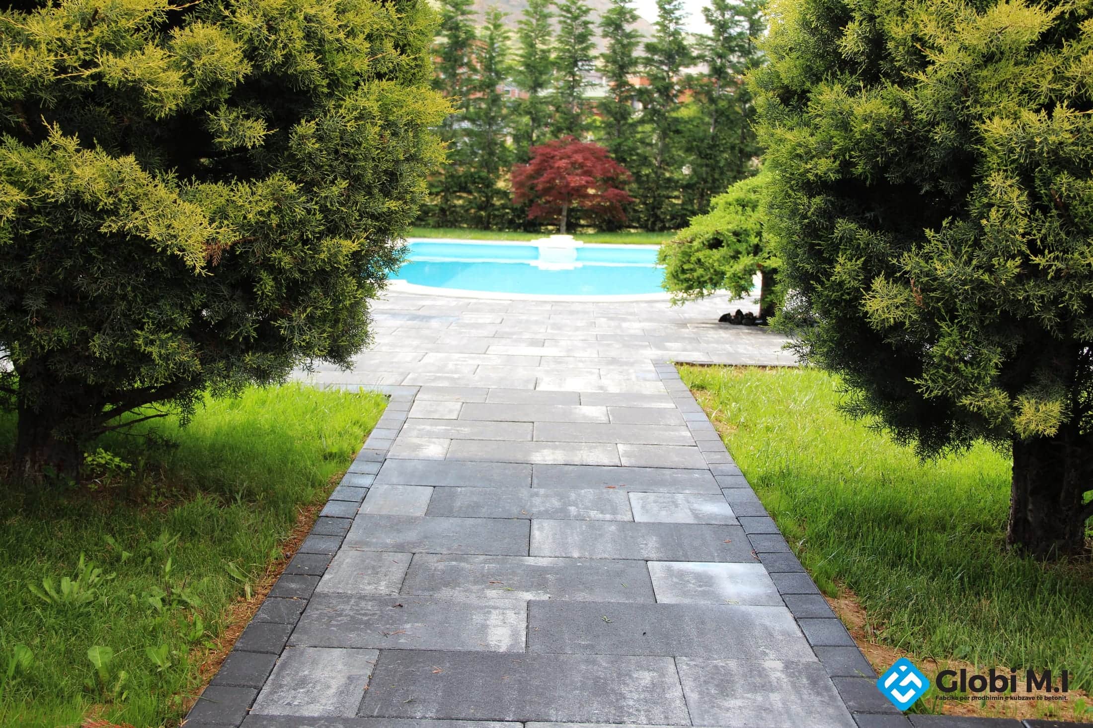 Paved path between two large conifers leading to a pool, with lawn to either side.