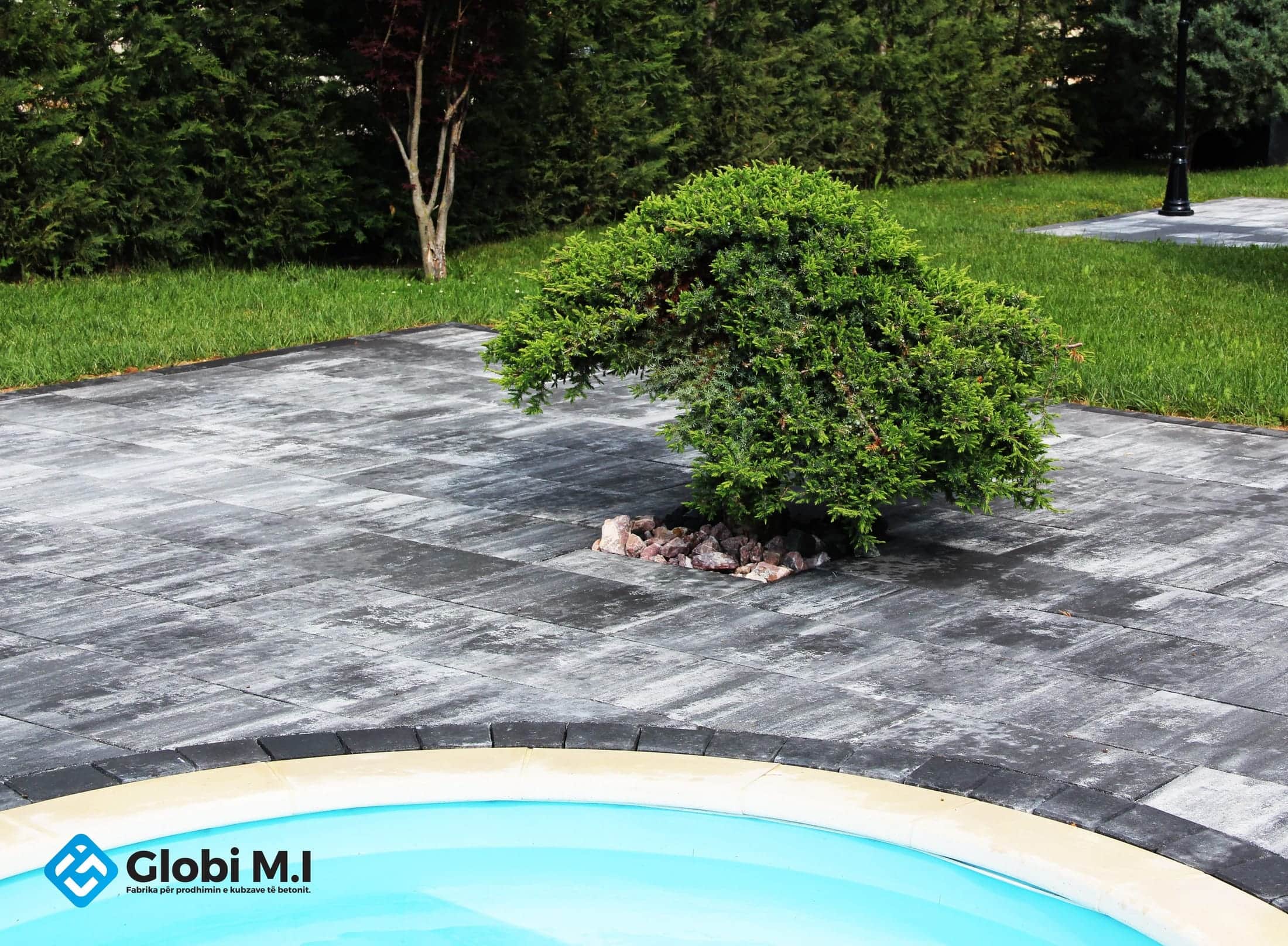 Shaped shrub at the edge of the lawn, with the paving and the curve of the pool.