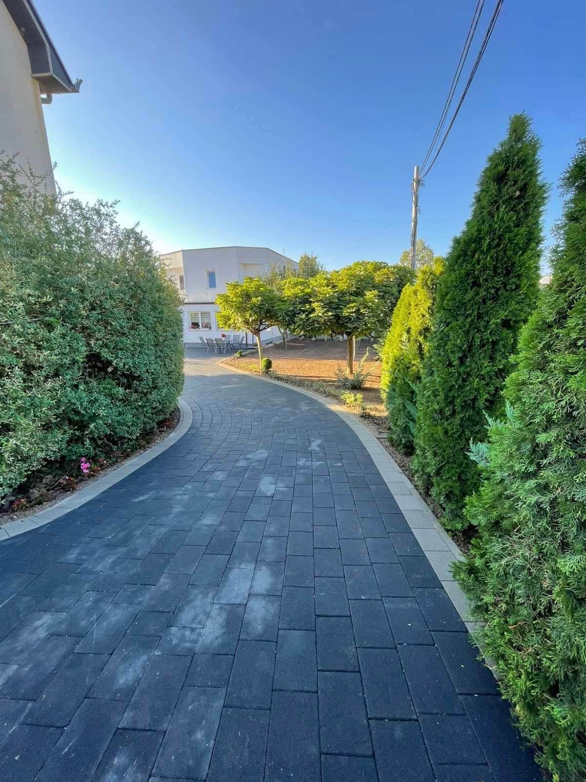 Paved path between tall hedges, leading toward a house.